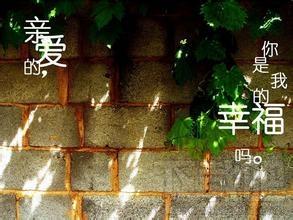 非主流电脑桌面主题,非主流电脑桌面主题下载,非主流电脑桌面主题官方下载